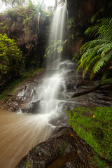 Regenreicher Tag enthüllt üppige Natur am verborgenen Wasserfall in den Blue Mountains, New South...