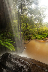 Regenreicher Tag enthüllt üppige Natur am verborgenen Wasserfall in den Blue Mountains, New South...