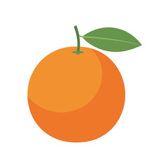 A vibrant orange with a green leaf and stem.