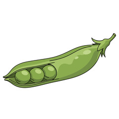 Fresh green pea pod with three peas inside, healthy food illustration.