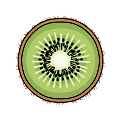 Kiwi fruit slice showing the inner structure and details of the fruit.