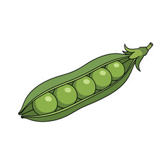 Illustration of a Fresh Green Pea Pod with Peas.