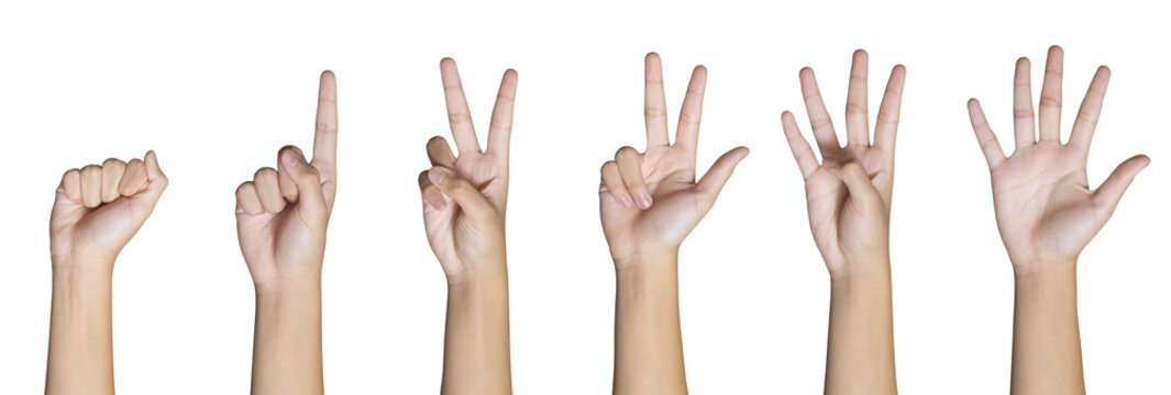 Child hand counting zero to five fingers signs isolated on white background with Clipping path included. Communication gestures concept