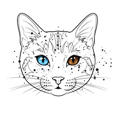 Sketch of cat s face with two colors eyes. Black and white line drawing of a cat s face against a white background, featuring heterochromia with one blue eye and one brown eye. 