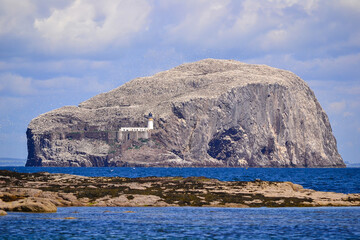 The Bass Rock island in the Firth of Forth, near North Berwick, with thousands of gannets,...