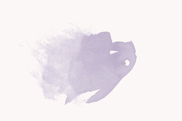 black cat on white background