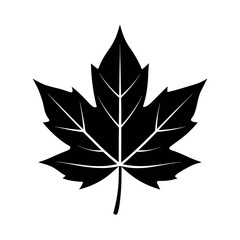 Maple Leaf or Grape Leaf Black Silhouette Vector Illustration