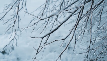 Obraz premium Ice-covered branches in winter scenery, erosion risk