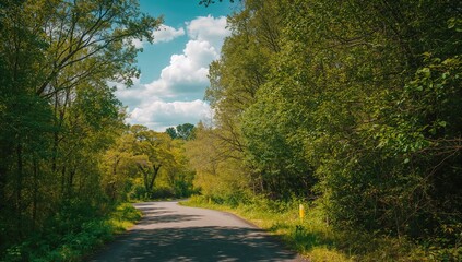 Obraz premium Winding road through lush forested landscape, adventure