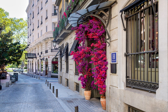 A typical street in central Madrid, lined with elegant historic buildings, balconies, and warm facades, capturing the city&rsquo;s lively charm and timeless architecture