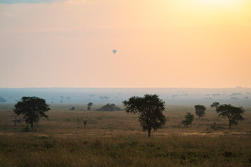 a single hot air balloons rising over the Serengeti, Tanzania, Africa, in the mornign, as the sun rises