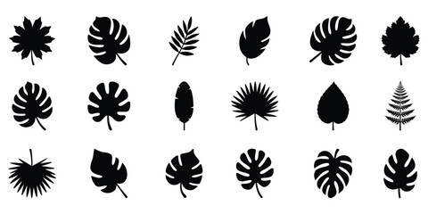 Tropical leaf silhouette set for nature and botanical design. Transparency background. © Design lab 234