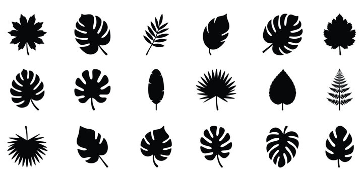 Tropical leaf silhouette set for nature and botanical design. Transparency background.