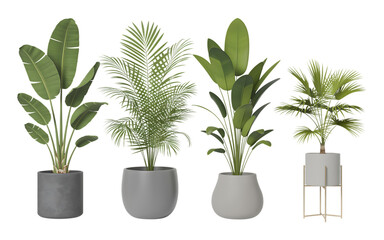 Fototapeta premium Plant in a vase isolated on white