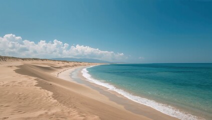 Obraz premium Landscape view of coastal dunes, highlighting erosion risk