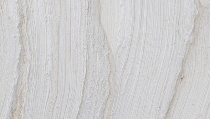 Tree bark with intricate patterns, showcasing natural wood texture, ideal for background use
