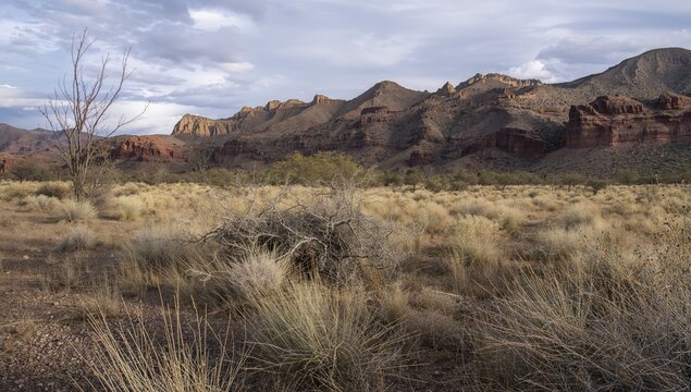 Soledad Canyon, Las Cruces desert scenery, showcasing erosion risk