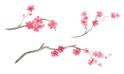 Sakura branches. Watercolor handmade collection of sakura. Delicate illustrations for fabric, wallpaper, greeting cards, design, decoration and illustration.
