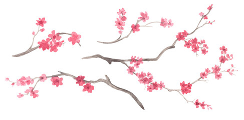 Obraz premium Set of sakura branches. Watercolor handmade collection of sakura. Delicate illustrations for fabric, wallpaper, greeting cards, design, decoration and illustration.