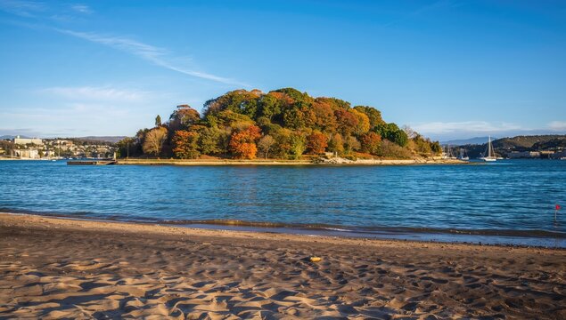 Toralla Island viewed from the sandy beach, highlighting autumn foliage and coastal scenery