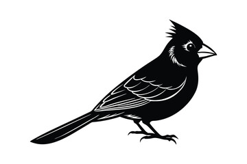 Black Silhouette of a Cardinal Bird with Crest Standing on White Background Keywords: cardinal, bird, silhouette, black, white background, crest, avian, wildlife, nature, animal, illustration