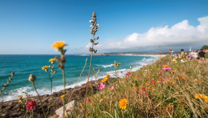 Wildflowers blooming on a coastal highway, showcasing seasonal change