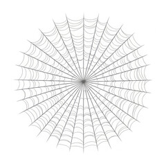Obraz premium Intricate radial spider web detailed natural pattern decorative art