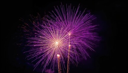 Lavender and white fireworks illuminate the night sky, festive display for celebration