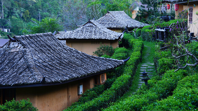 Ban Rak Thai, Mae Hong Son resort in green tea plantation on the hill and lake at  village, chinese style hotel and resort, famous tourist attractions is another landmark of North Thailand. - Powered by Adobe