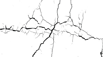 Vector group of black branch grunge cracks isolated on white background. 