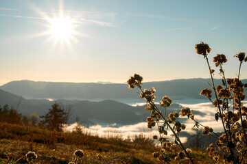 Beautiful mountain landscape with a bright sun shining over a sea of clouds filling the valleys....