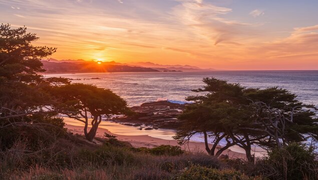 Coastal serenity through the trees in a sunny landscape, seasonal change