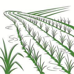 Stylized illustration of green rice paddies with curving rows of young plants and water reflections