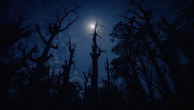 Eerie nocturnal landscape featuring illuminated trees under a full moon, suitable for horror and fantasy themes - Powered by Adobe