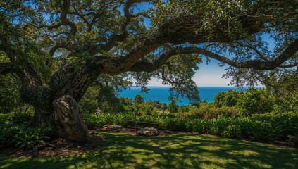 Fototapeta premium Shady area in a garden beneath a large tree, ideal for relaxation and shelter from the sun