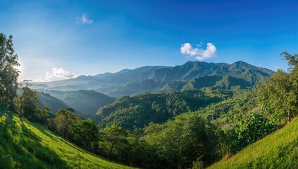 Naklejka premium Summer landscape with mountains, forest, and grassy fields under a bright sky