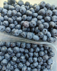 Fresh blueberries in plastic containers