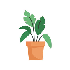 Potted plant with green leaves, vector illustration