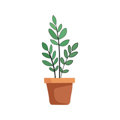 Potted houseplant with green leaves