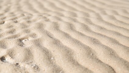 Fototapeta premium Sand background, natural light beige or white sandy beach texture, suitable for editorial header background