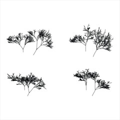 Black and White Fractal Tree Pattern Isolated on White Background