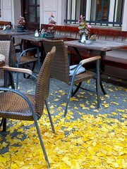 Tables and chairs in a street cafe with yellow fallen leaves
