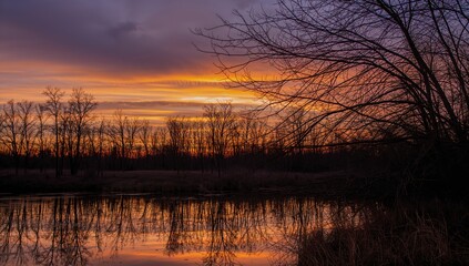 Sunset over barren trees, erosion risk