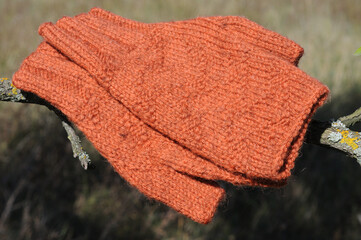Knitted woolen handmade gloves with open fingers on a branch in the garden. Warm things.