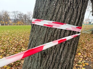 Barrier tape on a tree in a park