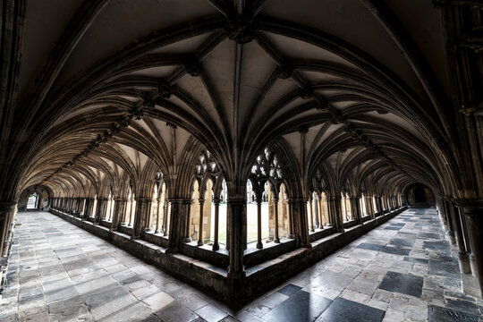 Norwich Cathedral Cloister, England, United Kingdom