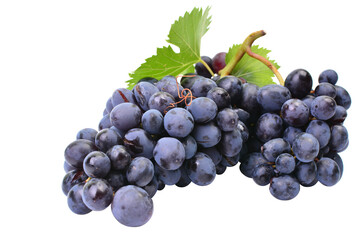 Grapes isolated on white background