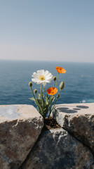 Wildflowers bloom between rocks with the ocean shimmering in the background