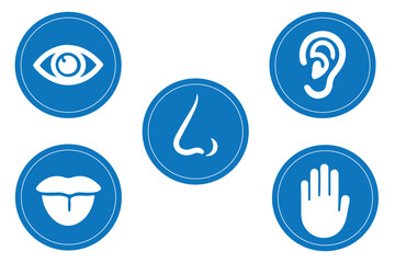 Five human senses one line drawing in circle. Touch, smell, taste, look, hear icon. Set of 5 types feelings. Vector illustration