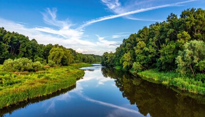 Serene River Winding Through Lush Green Forest Under a Bright Blue Sky with Wispy Clouds on a Sunny Day